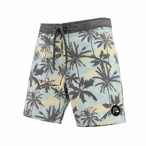 Quiksilver Men's Tropical Palm Board Shorts - Black and Blue